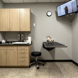 South 40 Veterinary Hospital - Exam room