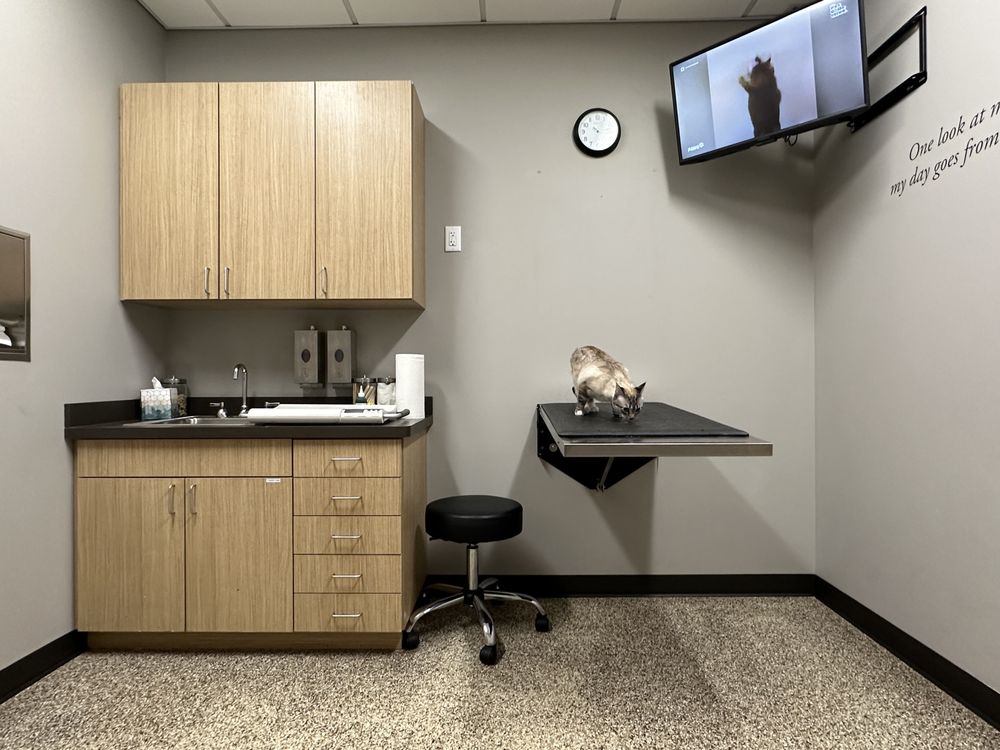 SOUTH 40 VETERINARY HOSPITAL Updated June 2024 4495 Midtown Dr