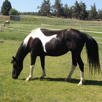 Diane's Riding Place - Horseback Riding Near Me - Bend, Oregon