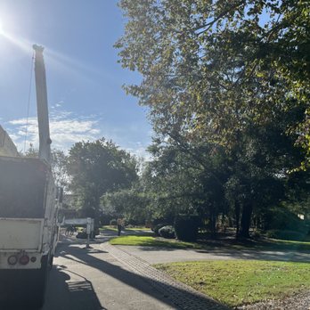 Kens Tree Service - Tree Services Near Me Kens Tree Service - Tree Services Near Me