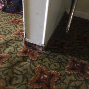 Lone Pine Motel - Hotels Near Me - Garberville, California