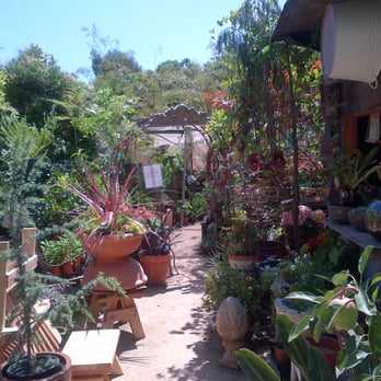 Plantplay Gardens - Nurseries & Gardening Near Me - Oceanside, California Plantplay Gardens - Nurseries & Gardening Near Me - Oceanside, California