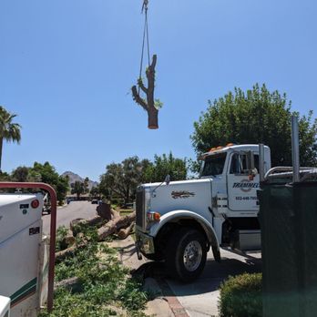 Southwest Tree Service - Tree Removal with Crane - Tree Services Near Me Southwest Tree Service - Tree Removal with Crane - Tree Services Near Me