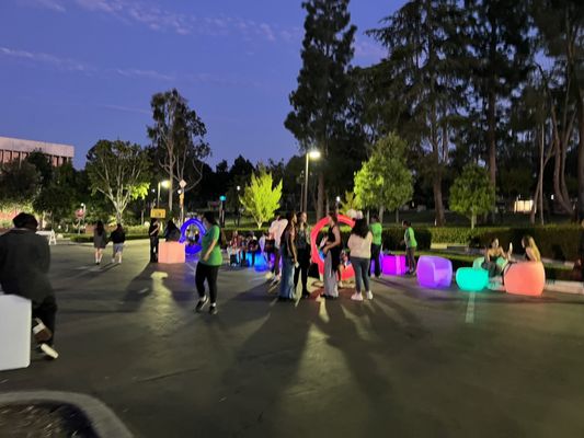 California State University Long Beach by null