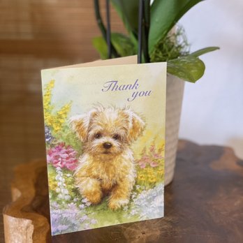 Cottage Dental - Chapman Avenue - You made our day Debbie! - General Dentistry Near Me - Fullerton, California