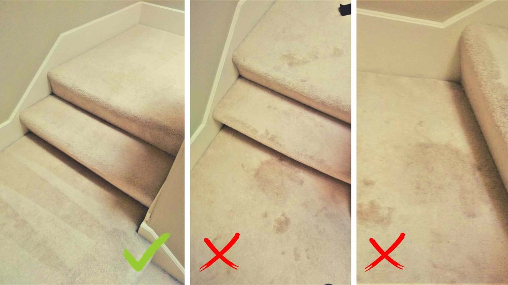 ASAP CARPET CLEANERS Updated October 2024 16 Photos Seattle