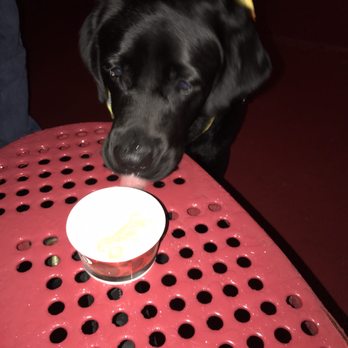 Bruster's Real Ice Cream - Walter enjoying his birthday treat - Ice Cream & Frozen Yogurt Near Me - Alpharetta, Georgia Bruster's Real Ice Cream - Walter enjoying his birthday treat - Ice Cream & Frozen Yogurt Near Me - Alpharetta, Georgia