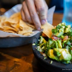 Monterrey of Smyrna - Guacamole