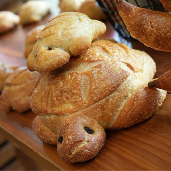 Boudin - Turtle bread. - Bakeries Near Me - San Francisco, California