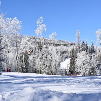 Brian Head Resort - New Years Day 2021 trees white with frost on Navajo Mountain - Resorts Near Me - Brian Head, Utah
