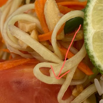 Thai Lemon - Hair in my papaya salad. - Thai Near Me - West Linn, Oregon Thai Lemon - Hair in my papaya salad. - Thai Near Me - West Linn, Oregon