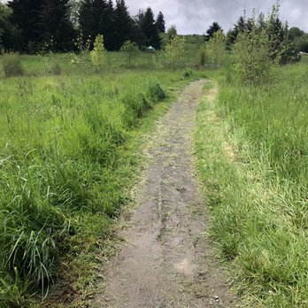 Powell Butte Nature Park - Parks Near Me - Portland, Oregon