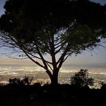 The Giving Tree - Wisdom tree at night :) - Hiking Near Me - Los Angeles, California The Giving Tree - Wisdom tree at night :) - Hiking Near Me - Los Angeles, California