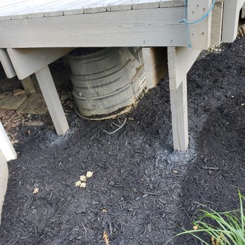 Deckworks - Stained the black mulch installed 2 days earlier - Decks & Railing Near Me