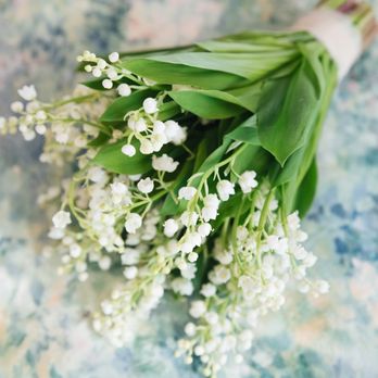 Kenia Z. Florals - Floral Designers Near Me - Los Angeles, California Kenia Z. Florals - Floral Designers Near Me - Los Angeles, California