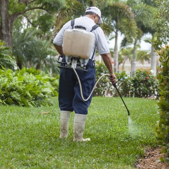 D & D Pest Control - Pest Control Near Me - Merced, California D & D Pest Control - Pest Control Near Me - Merced, California