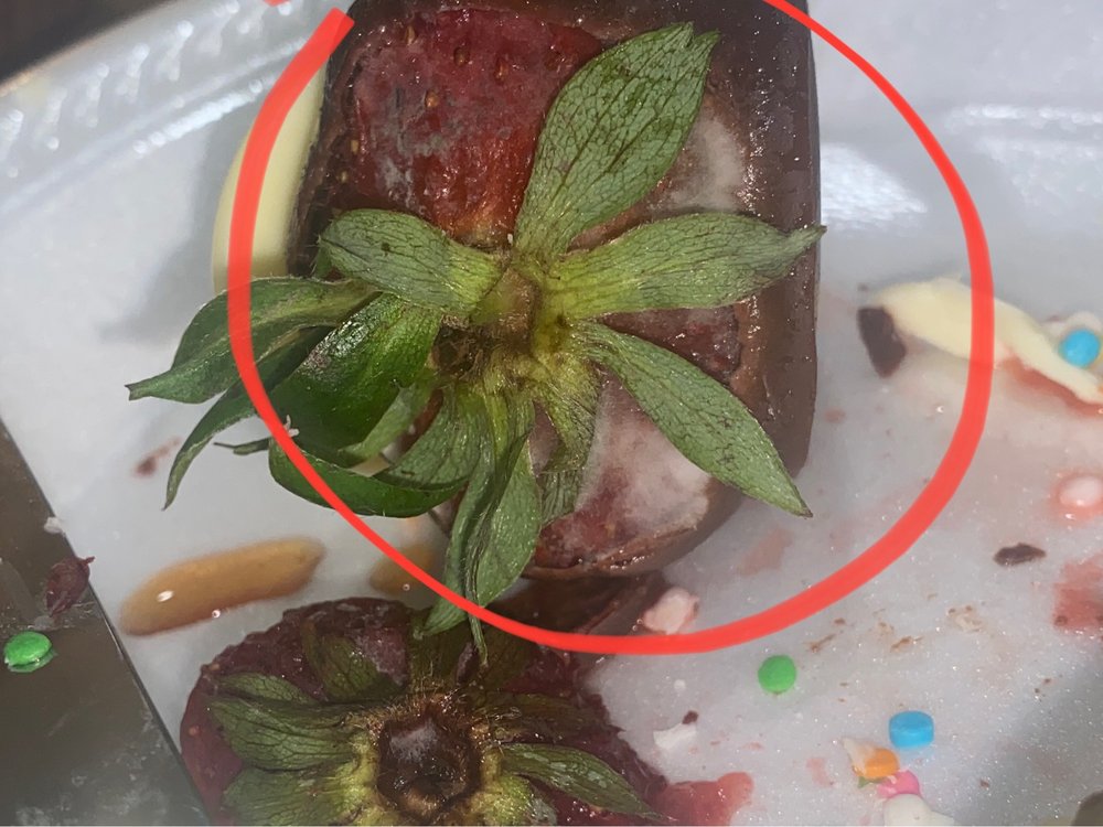 EDIBLE ARRANGEMENTS Updated September 2024 11 Reviews 2728 N Mall