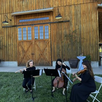 Trilla Trio - Trilla Trio playing at a wedding - Musicians Near Me Trilla Trio - Trilla Trio playing at a wedding - Musicians Near Me
