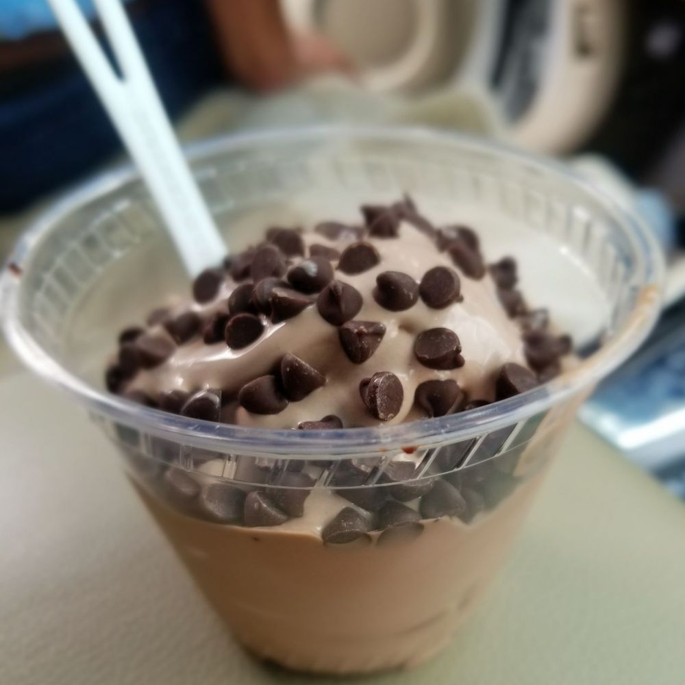 Chocolate custard with chocolate chips Chocolate custard with chocolate chips