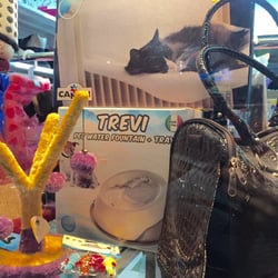 Pet 360 - Accessori per gatti