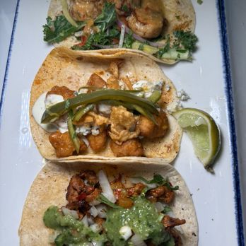 Green Lemon - Tacos - Mexican Near Me - Tampa, Florida Green Lemon - Tacos - Mexican Near Me - Tampa, Florida