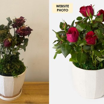 UrbanStems - Florists Near Me UrbanStems - Florists Near Me