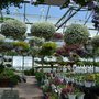 Photo of Countryside Floral And Greenhouses