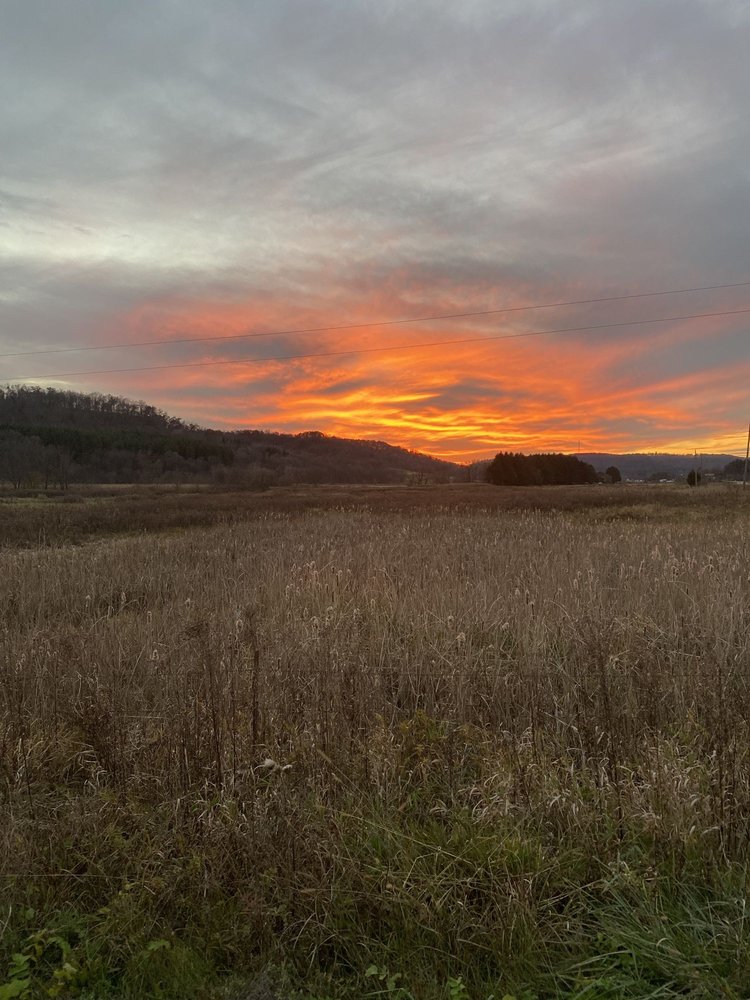 ALWAYS IN SEASON FLORIST Updated September 2024 43 Photos 3