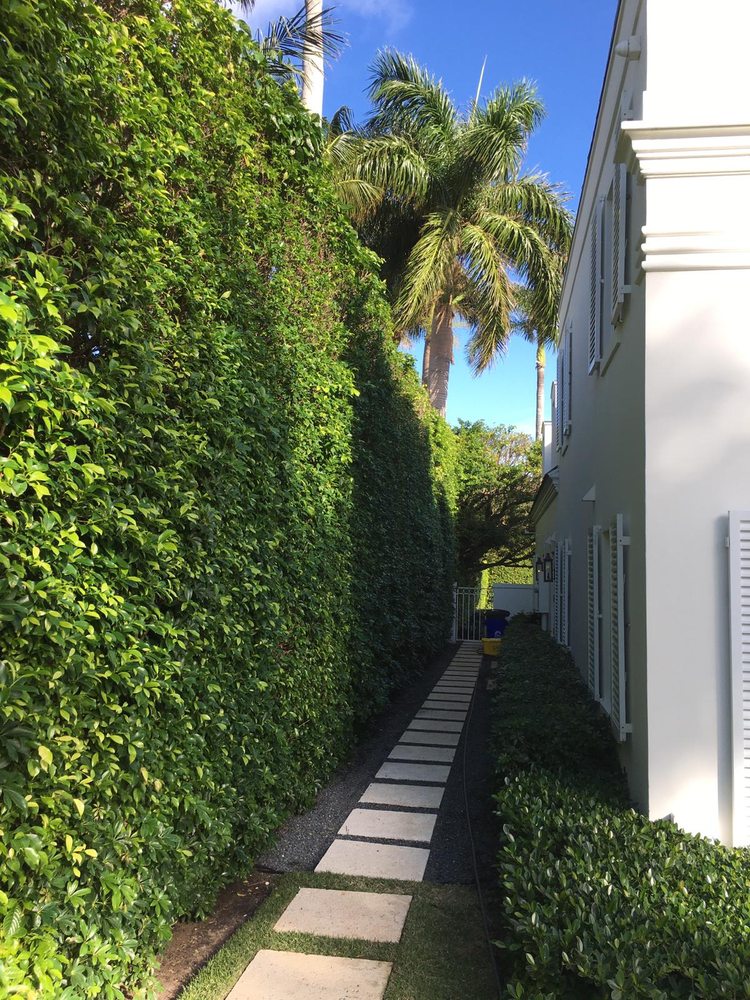 Slide of Treasure Coast Roof Cleaning Specialist