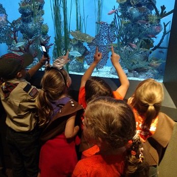 Denver Zoo - Scout night at the Denver Zoo-plenty of activities to help meet those requirements! - Zoos Near Me - Denver, Colorado
