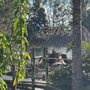 Photo of Luau Chikee Hut