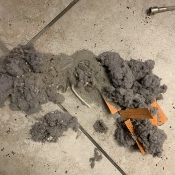 Mountain Vision - Air Duct Cleaning Near Me - Longmont, Colorado Mountain Vision - Air Duct Cleaning Near Me - Longmont, Colorado