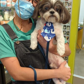 Healthy Spot - Rockridge - Monica and Ollie - Pet Groomers Near Me - Berkeley, California Healthy Spot - Rockridge - Monica and Ollie - Pet Groomers Near Me - Berkeley, California