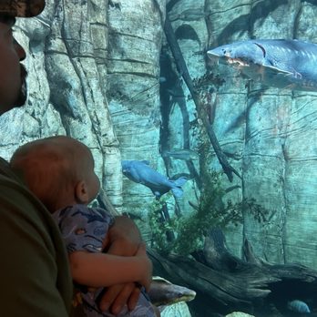 Downtown Aquarium - Museums Near Me - Denver, Colorado Downtown Aquarium - Museums Near Me - Denver, Colorado