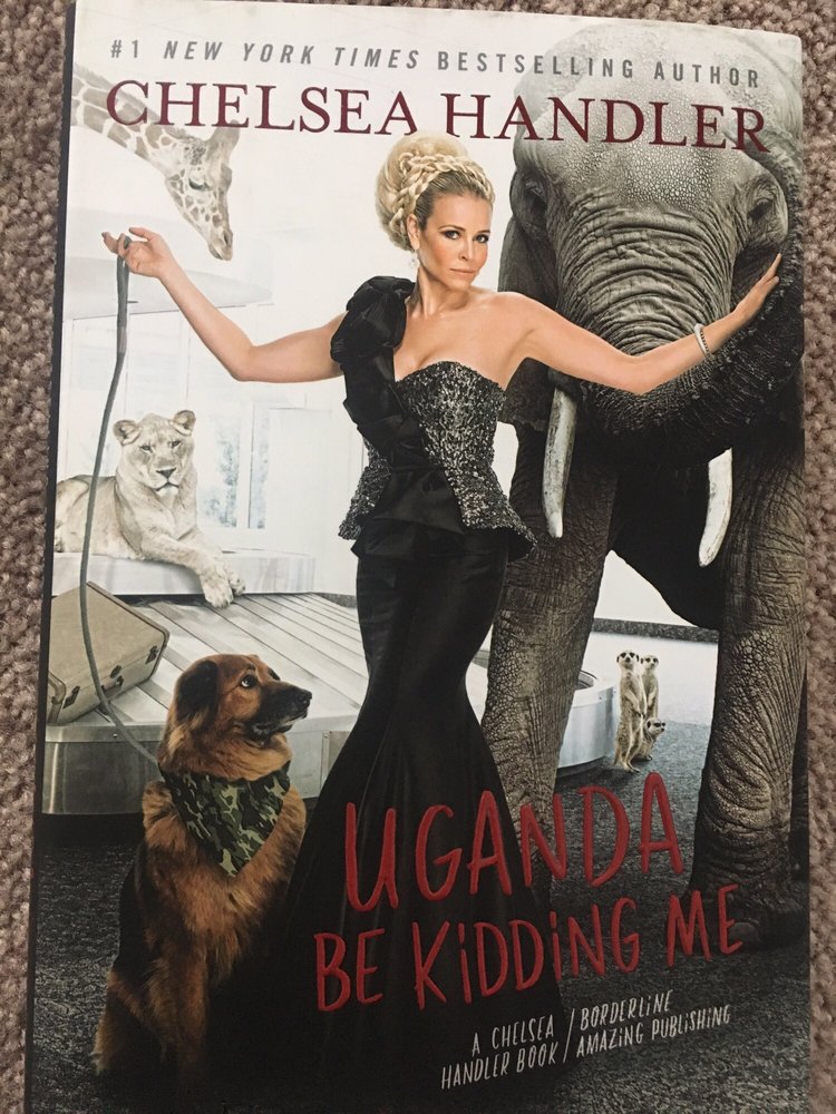 DOLLAR TREE Updated January 2026 11 Reviews 136 Elm St, Enfield