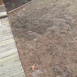 Robinson Septic Tank Cleaning - Septic lid area