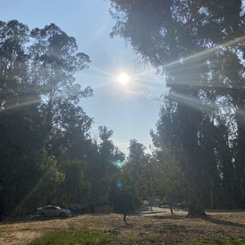 Anthony Chabot Regional Park - Parks Near Me - Castro Valley, California