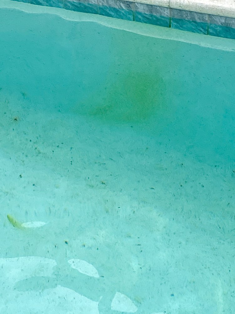 PINCH A PENNY Updated July 2024 6507 W Waters Ave, Tampa, Florida