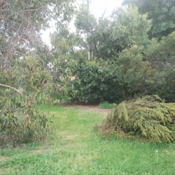 Glenwood Grove Park