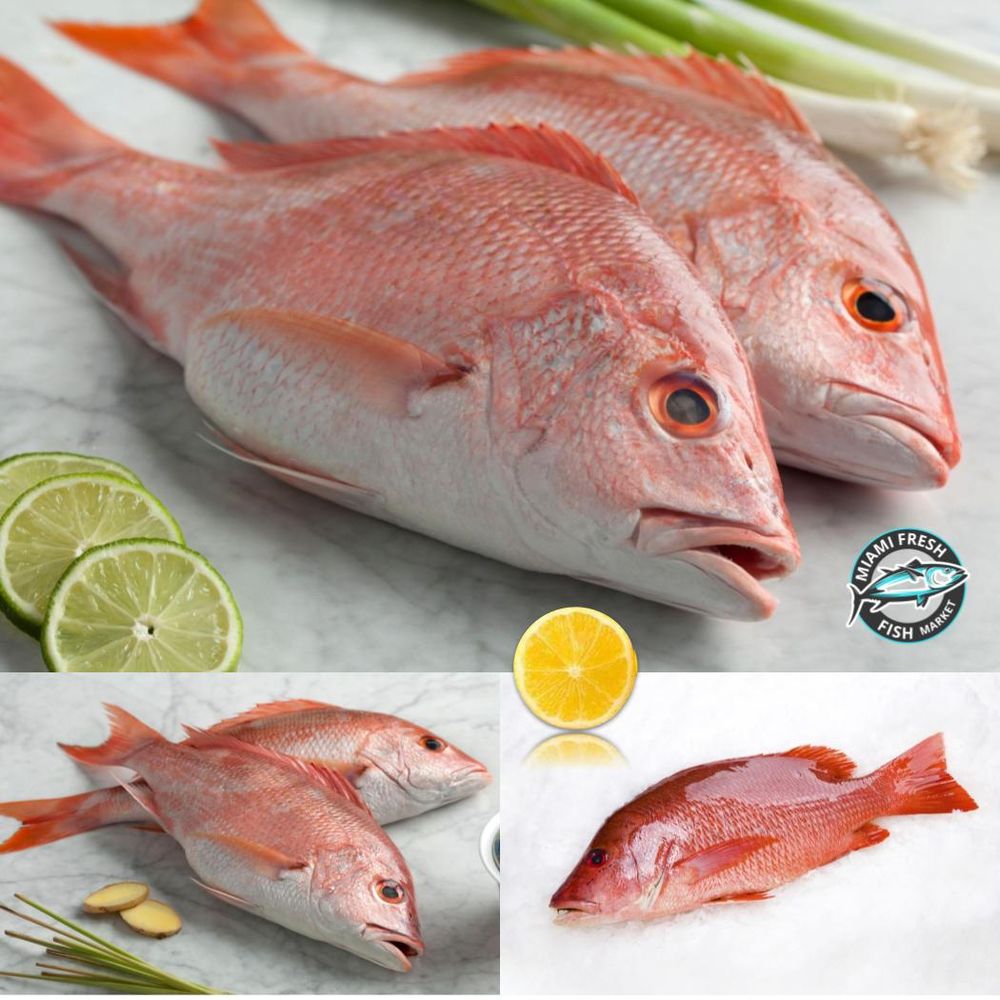 Miami Fresh Fish Market