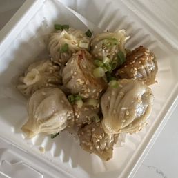 H1 Pork and Green Onion dumplings