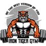 Photo of Iron Tiger Gym
