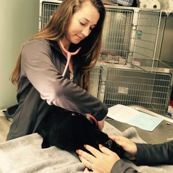Flowertown Animal Hospital