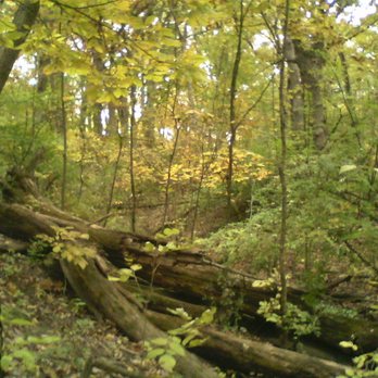 Lemon Lake Park - Quaint little rivulet, running deep within the park.  Just love using Yelp as a my personal Instagram! - Parks Near Me - Cedar Lake, Indiana
