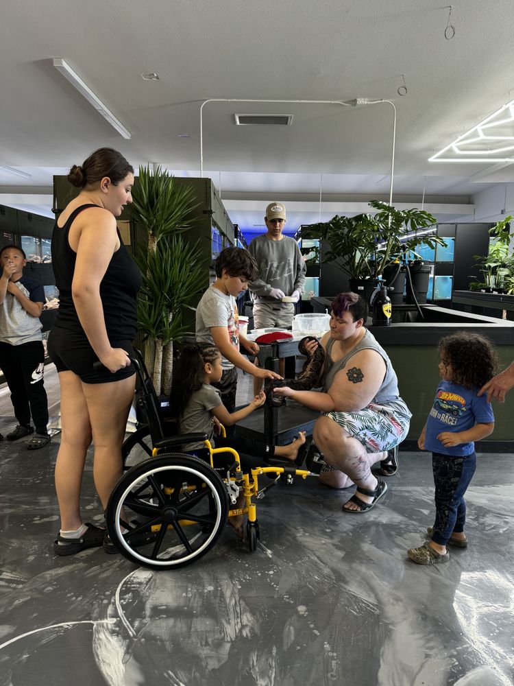 Exotic Aquarium - reptile breeding in Sacramento, CA