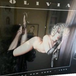 The Adult Store - A picture of what the store should also sell.