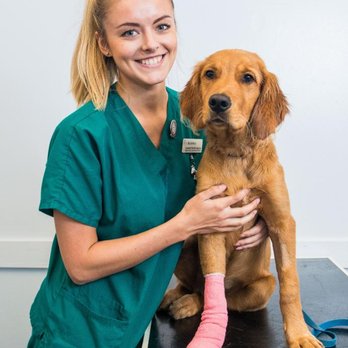 Braid Vets Hospital - Veterinarians Near Me - Edinburgh, EDH Braid Vets Hospital - Veterinarians Near Me - Edinburgh, EDH