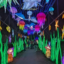 Elite Experience: Dragon Lights Reno - I mean come one, look at those colors!
