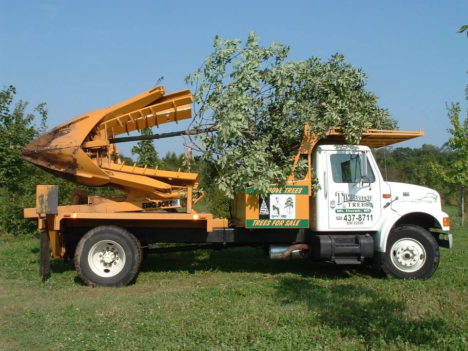 Timberland Trees - tree service in Mount Horeb, WI