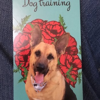 Gela’s Dog Training - This is my dog Duke! - Pet Training Near Me Gela’s Dog Training - This is my dog Duke! - Pet Training Near Me